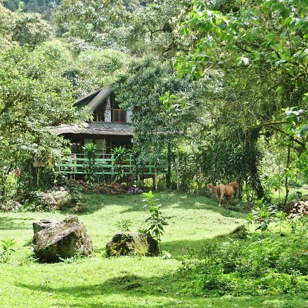 Mindo Eco Chalet Con Rio Y Cascada Εξωτερικό φωτογραφία