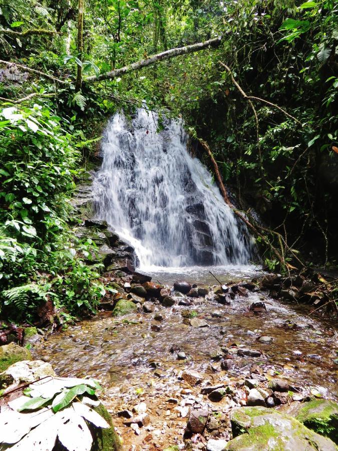Mindo Eco Chalet Con Rio Y Cascada Εξωτερικό φωτογραφία
