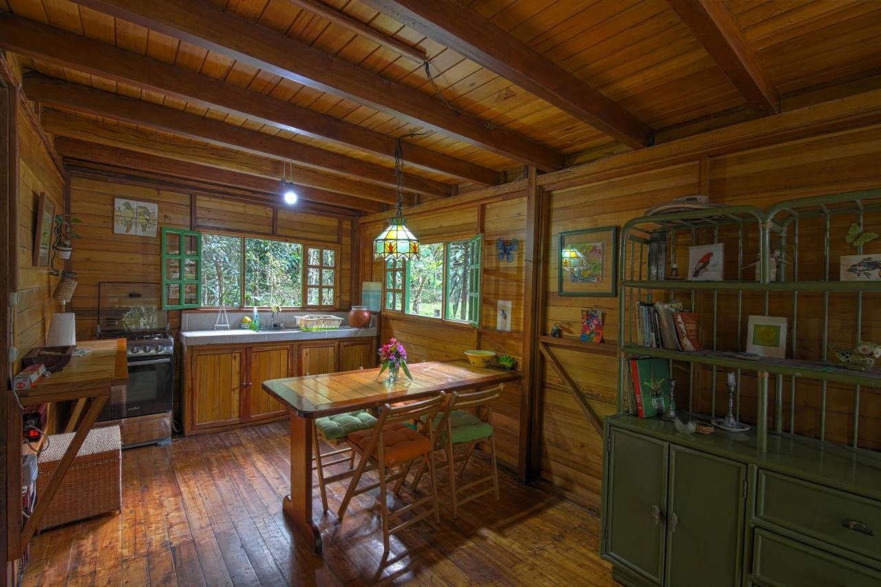 Mindo Eco Chalet Con Rio Y Cascada Εξωτερικό φωτογραφία