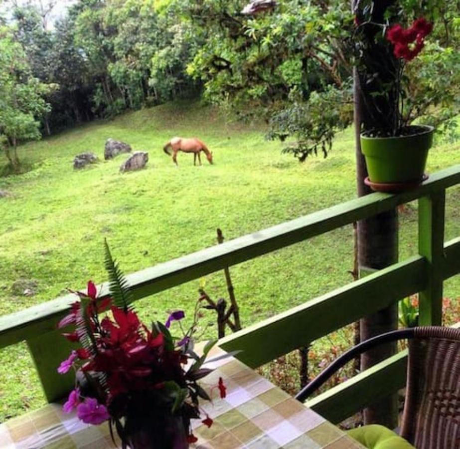 Mindo Eco Chalet Con Rio Y Cascada Εξωτερικό φωτογραφία