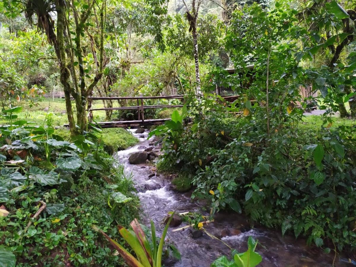 Mindo Eco Chalet Con Rio Y Cascada Εξωτερικό φωτογραφία