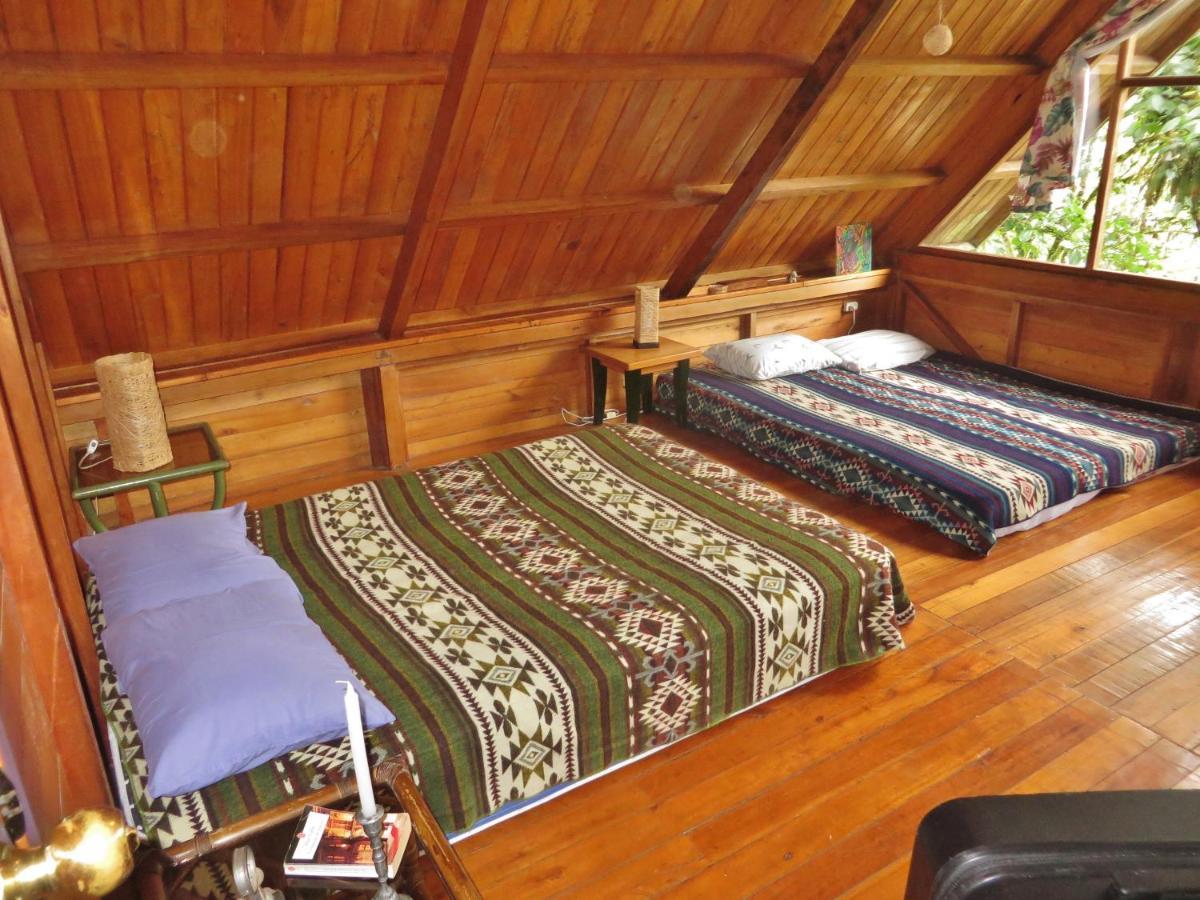Mindo Eco Chalet Con Rio Y Cascada Εξωτερικό φωτογραφία