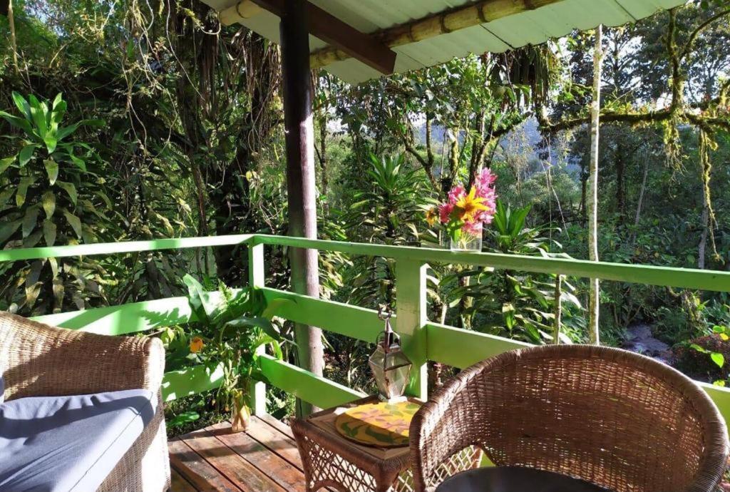 Mindo Eco Chalet Con Rio Y Cascada Εξωτερικό φωτογραφία
