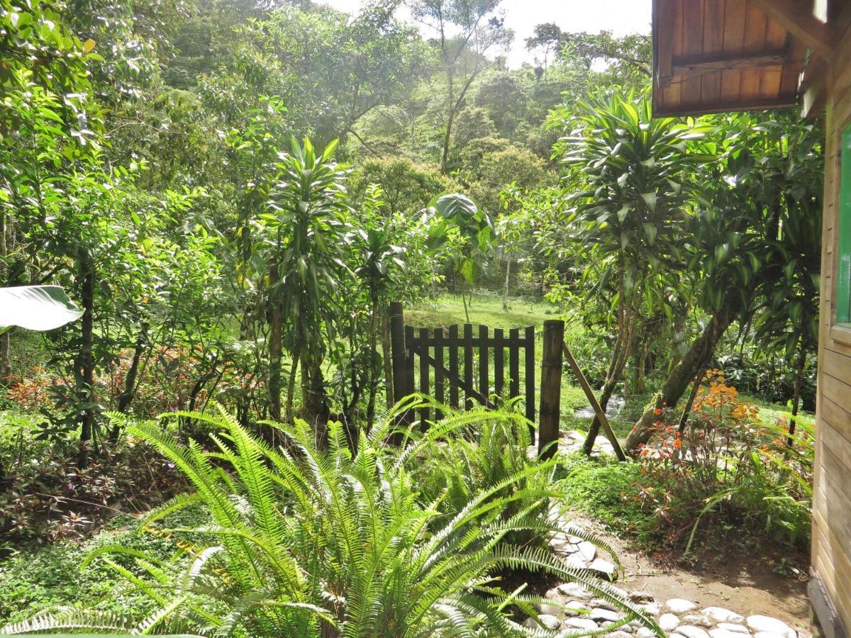 Mindo Eco Chalet Con Rio Y Cascada Εξωτερικό φωτογραφία