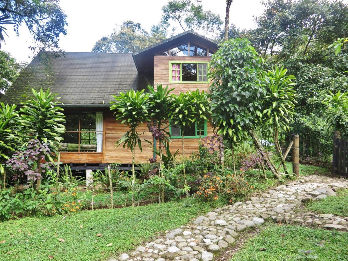 Mindo Eco Chalet Con Rio Y Cascada Εξωτερικό φωτογραφία