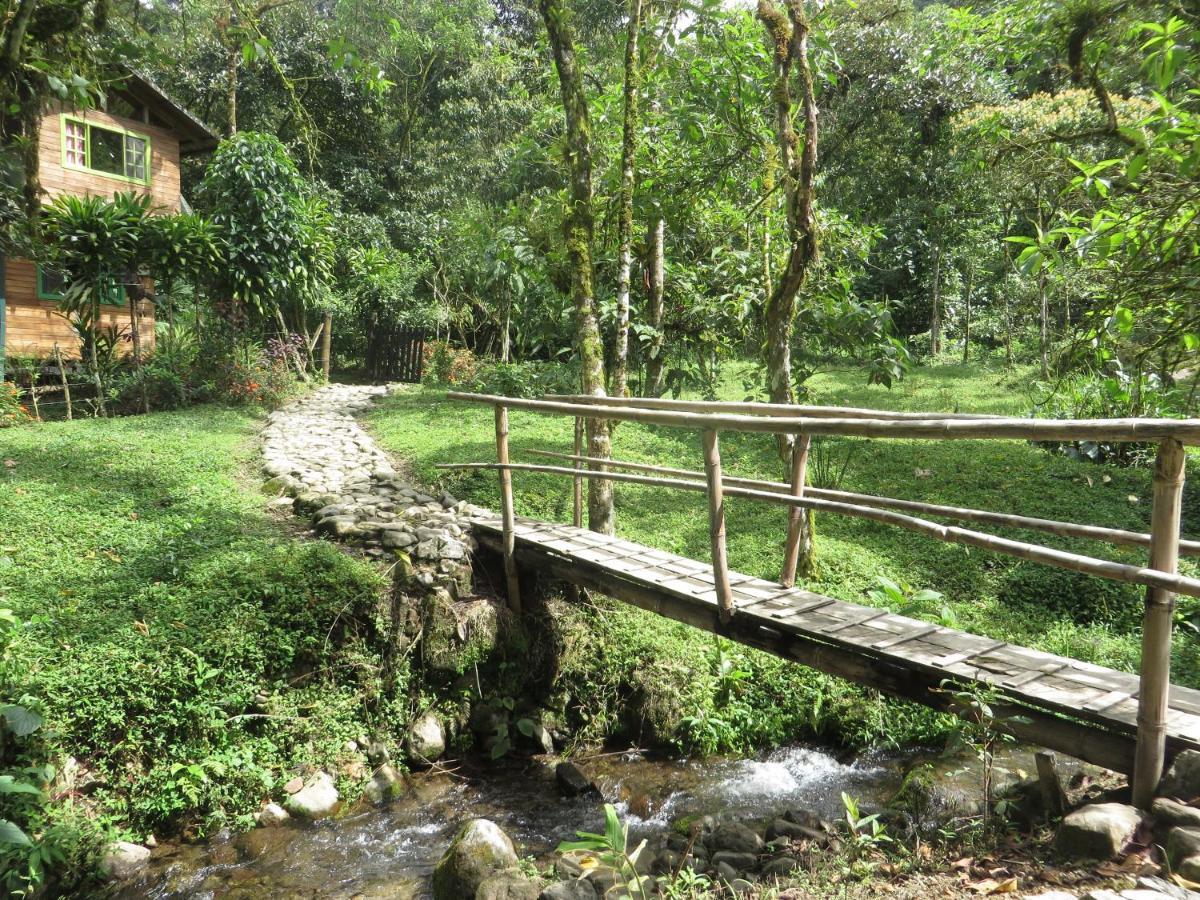 Mindo Eco Chalet Con Rio Y Cascada Εξωτερικό φωτογραφία