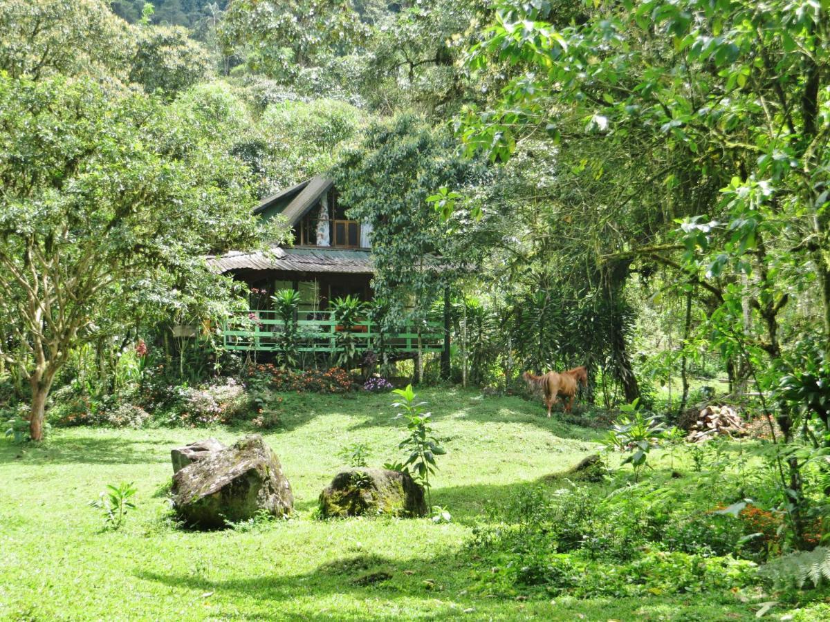 Mindo Eco Chalet Con Rio Y Cascada Εξωτερικό φωτογραφία
